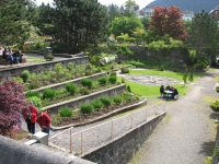 Garden in Prince Rupert